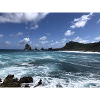 รูปถ่าย กวาเดอลูป(Guadeloupe) แหลมคาสเซิลพอยต์(Castle Point) 2021-02 19
