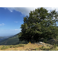 รูปถ่าย ฝรั่งเศส(France) คอร์สิคา(Corsica) ที่พักกัลเลรุชชู(Refuge de Callerucciu) 2022-06 61
