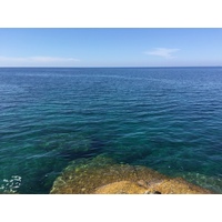 รูปถ่าย ฝรั่งเศส(France) คอร์สิคา(Corsica) คาลวี(Calvi) 2015-05 64