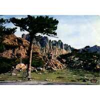 รูปถ่าย ฝรั่งเศส(France) คอร์สิคา(Corsica) โปสการ์ดเก่า(Old Postcards) 1900-01 196