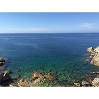 รูปถ่าย ฝรั่งเศส(France) คอร์สิคา(Corsica) คาลวี(Calvi) 2015-05 60