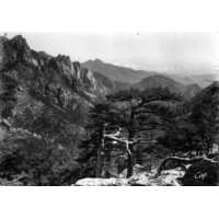 รูปถ่าย ฝรั่งเศส(France) คอร์สิคา(Corsica) โปสการ์ดเก่า(Old Postcards) 1900-01 141