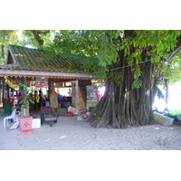 รูปถ่าย ไทย(Thailand) เกาะเสม็ด(Ko Samet) อ่าวช่อ(Ao Cho) 2009-01 31