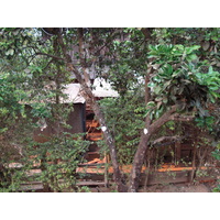 รูปถ่าย ไทย(Thailand) ปางมะผ้า(Pang Mapha) 2007-02 97