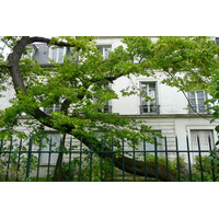 รูปถ่าย ฝรั่งเศส(France) ปารีส(Paris) มังท์มาร์เทรอ(Montmartre) 2007-06 68