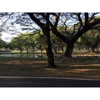 รูปถ่าย ไทย(Thailand) สุโขทัย(Sukhothai) 2014-12 35