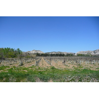 รูปถ่าย ฝรั่งเศส(France) โพรว็องส์(Provence) ถนนจากมูรีแยสไปโบเดอโพรว็องส์(Mouries to Baux de Provence road) 2008-04 7
