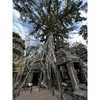 รูปถ่าย กัมพูชา(Cambodia) เสียมราฐ(Siem Reap) ปราสาทตาพรหม(Ta Prohm) 2023-01 11