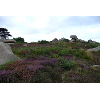 รูปถ่าย ฝรั่งเศส(France) แปร์รอส-กีแรก(Perros Guirec) 2007-08 93