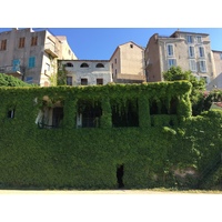 รูปถ่าย ฝรั่งเศส(France) คอร์สิคา(Corsica) คาลวี(Calvi) 2015-05 42