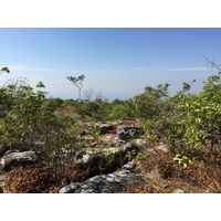 รูปถ่าย ไทย(Thailand) อุทยานแห่งชาติภูหินร่องกล้า(Phu Hin Rong Kla National Park) 2014-12 302