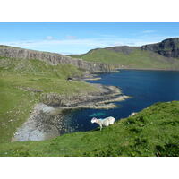 รูปถ่าย อังกฤษ(United Kingdom) เกาะสกาย(Skye) แหลมนีสต์พอยต์(Neist Point) 2011-07 34