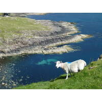 รูปถ่าย อังกฤษ(United Kingdom) สกอตแลนด์(Scotland) 2011-07 131
