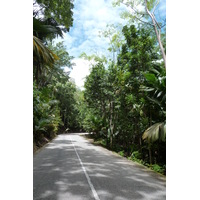รูปถ่าย เซเชลส์(Seychelles) หุบเขาเดอไม(Vallee de Mai) 2011-10 37