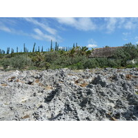 รูปถ่าย นิวแคลิโดเนีย(New Caledonia) 2010-05 24