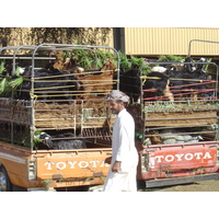 รูปถ่าย สหรัฐอาหรับเอมิเรตส์(United Arab Emirates) อาเลอิน(Al Ain) 2005-03 51