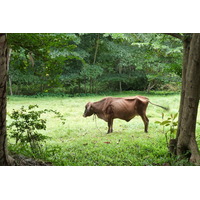 รูปถ่าย เซเชลส์(Seychelles) 2011-10 88
