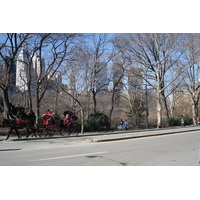 รูปถ่าย สหรัฐอเมริกา(United States) นิวยอร์ก(New York) เซ็นทรัลพาร์ก(Central Park) 2006-03 53