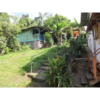 รูปถ่าย ปานามา(Panama) เกาะบาสติเมนโตส(Bastimentos) 2015-03 57
