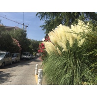 รูปถ่าย ฝรั่งเศส(France) วังซ์(Vence) 2017-08 4