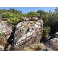 รูปถ่าย ไทย(Thailand) อุทยานแห่งชาติภูหินร่องกล้า(Phu Hin Rong Kla National Park) 2014-12 298