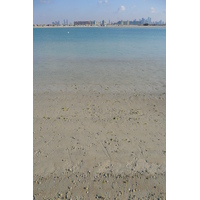 รูปถ่าย สหรัฐอาหรับเอมิเรตส์(United Arab Emirates) ดูไบ(Dubai) ปาล์มจุมัยเราะห์(Palm Jumeirah) 2009-01 36
