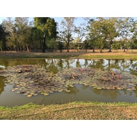 รูปถ่าย ไทย(Thailand) สุโขทัย(Sukhothai) 2014-12 70