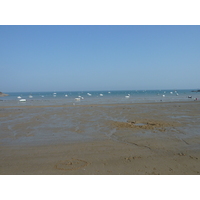 รูปถ่าย ฝรั่งเศส(France) ก็องกาล(Cancale) 2010-04 128