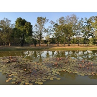 รูปถ่าย ไทย(Thailand) สุโขทัย(Sukhothai) 2014-12 73