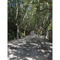 รูปถ่าย ฝรั่งเศส(France) อาร์เลอ(Arles) 2026-06 0