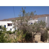 รูปถ่าย กรีก(Greece) เกาะอามอร์กอส(Amorgos) 2014-07 422