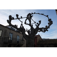 รูปถ่าย สเปน(Spain) เซลาโนวา(Celanova) 2013-01 20