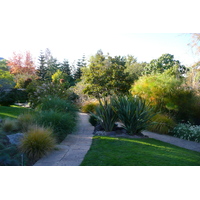 รูปถ่าย ฝรั่งเศส(France) นีส(Nice) สวนฟีนิกซ์(Phoenix Parc) 2007-10 13