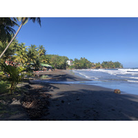 รูปถ่าย กวาเดอลูป(Guadeloupe) บานาเนีย(Bananier) 2021-02 14