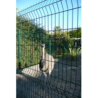 รูปถ่าย ฝรั่งเศส(France) นีส(Nice) สวนฟีนิกซ์(Phoenix Parc) 2007-10 7