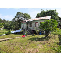 รูปถ่าย ปานามา(Panama) เกาะบาสติเมนโตส(Bastimentos) 2015-03 47