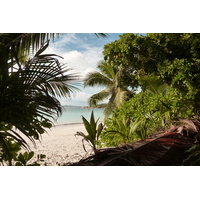 รูปถ่าย เซเชลส์(Seychelles) อ่าวอ็องส์ลาซิโอ(Anse Lazio) 2011-10 47