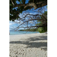 รูปถ่าย เซเชลส์(Seychelles) 2011-10 130