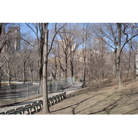 รูปถ่าย สหรัฐอเมริกา(United States) นิวยอร์ก(New York) เซ็นทรัลพาร์ก(Central Park) 2006-03 11
