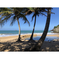 รูปถ่าย กวาเดอลูป(Guadeloupe) ป้อมรอยัล(Fort Royal) 2021-02 25