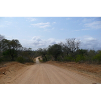 รูปถ่าย แอฟริกาใต้(South Africa) อุทยานแห่งชาติครูเกอร์(Kruger National Park) ถนนเลียบแม่น้ำครอกโคไดล์(Crocodile River road) 2008-09 56