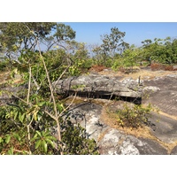 รูปถ่าย ไทย(Thailand) อุทยานแห่งชาติภูหินร่องกล้า(Phu Hin Rong Kla National Park) 2014-12 30