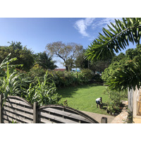 รูปถ่าย กวาเดอลูป(Guadeloupe) หาดลาแปร์ล(La Perle Beach) 2021-02 62