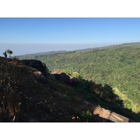 รูปถ่าย ไทย(Thailand) อุทยานแห่งชาติภูหินร่องกล้า(Phu Hin Rong Kla National Park) 2014-12 276