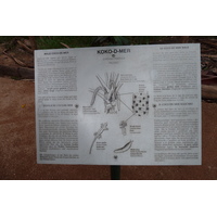 รูปถ่าย เซเชลส์(Seychelles) หุบเขาเดอไม(Vallee de Mai) 2011-10 44