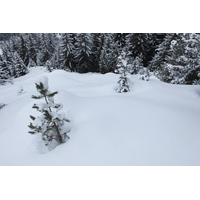 รูปถ่าย ฝรั่งเศส(France) เลทรัววาเล(Les 3 Vallees) 2013-03 252