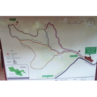 รูปถ่าย เซเชลส์(Seychelles) หุบเขาเดอไม(Vallee de Mai) 2011-10 45