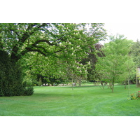 รูปถ่าย ฝรั่งเศส(France) ปารีส(Paris) สวนลักเซมเบิร์ก(Luxembourg Garden) 2007-04 16