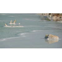 รูปถ่าย อิสราเอล(Israel) อึนโบเกก(Boqeq) 2007-06 67