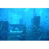 รูปถ่าย สหรัฐอาหรับเอมิเรตส์(United Arab Emirates) ดูไบ(Dubai) สวนน้ำอควาเวนเจอร์ ดูไบ(Dubai Aquaventure) 2009-01 117